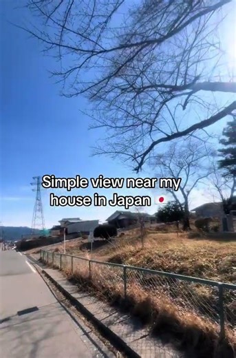 Simple view 🇯🇵 #Vlog / daily life #LifeInJapan #DailyVlogs