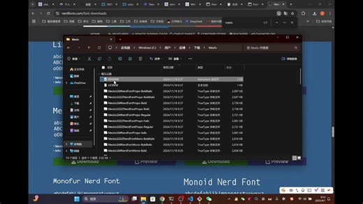 Python开发环境配置：git vscode等基本工具安装