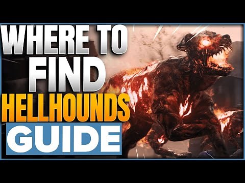 Where To Find Hellhounds In COD Modern Warfare 3 Zombies MWZ