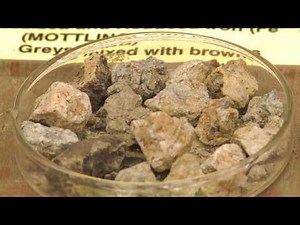 Soil Basics: Color Clues