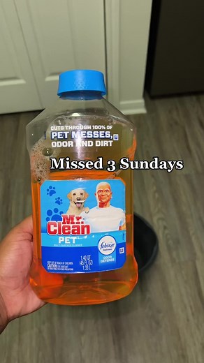 Mopping Floors with Mr. Clean Pet - Safe & Effective Cleaning