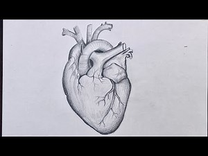 How to draw Heart | Biology drawing for science students