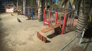 Big Brother Season 21 Episode 21 Episode 21