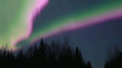 'Holy Moly': Spectacular Aurora Leave Alaska Man Stunned