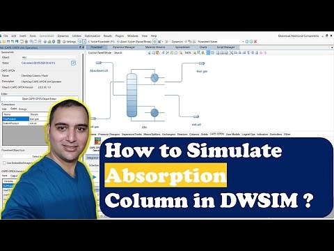Absorption Column Simulation in DWSIM | #chemicalengineering