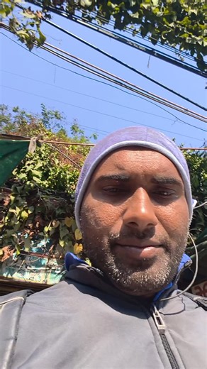 Ravi Dayma on Instagram: "Indore porter delivery application in delivery 🚚🚚🚚🚚🚚🚚🚚🚚🚚🚚🚚🚚🚚🚚 #trending #deliveryboy #parcel"