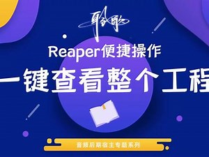 Reaper便捷操作 | 高效自定义操作：一键切换查看整个工程 #Reaper #Au转Reaper #DAW