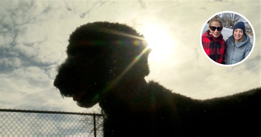 Pet microchip scanners give Ozaukee County residents peace of mind