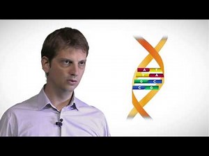 MOOC côté cours : La transcription de l'ADN