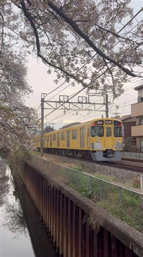 西武新2000系 2093F 各停田無行き #shorts #鉄道