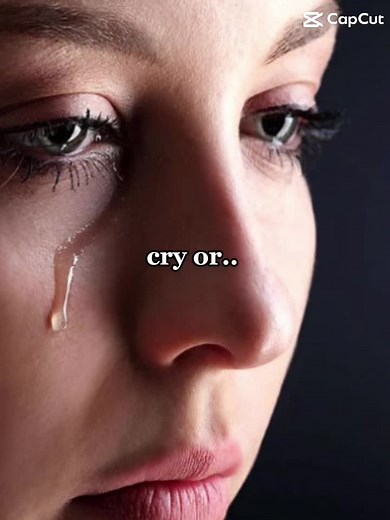 Remembering Boo: The World's Cutest Dog