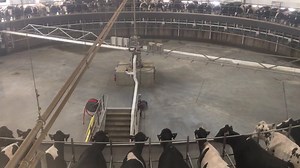 The 100-stall rotary parlor at Milk Source is making its rounds! #CarouselsForCows #TheyLoveIt #CowGoals | Milk Source, LLC