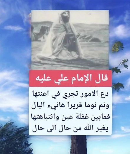 تيم الحنين على TikTok