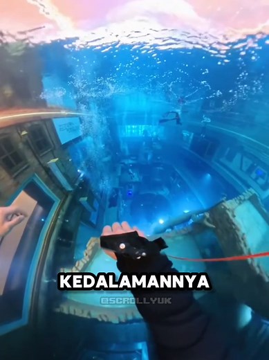 Dilarang Berenang Disini 😱 #faktaunik #fypage #ScrollYuk #sains #sainsasyik