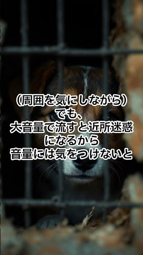 【最強】流すだけでカラスが消える？本気の撃退超音波・警告音【鳥害対策NO.1】