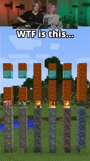 THESE MINECRAFT GLITCHES ARE INSANE #shorts #minecraft #glitch