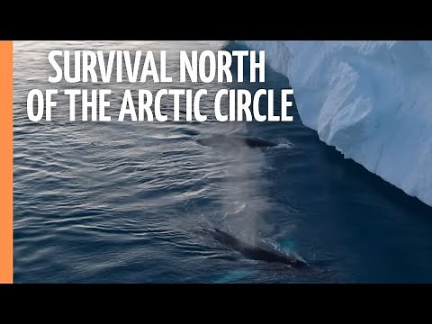 Grønland – Survival North of the Arctic Circle in one of the Harshest Areas in the World