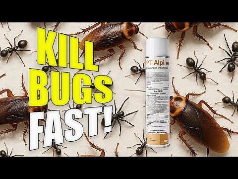 How to Use PT Alpine Pressurized Insecticide | BASF DIY Pest Control Tutorial