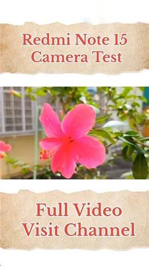 Redmi Note 15 Camera Test | Camera Quality
