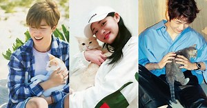 12 K-Pop Idols Who Are Seriously In Love With Cats
