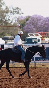 STRATTON GEST A TRADITION Combining the Best of the Stratton Stock Horses genetics. GEST AN ACRE x STRATTON TKO, they don't come much better. Reels thanks to Charlie Keegan Creative. #charliekeegancreative | Select Sires