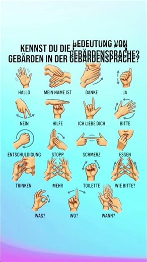 Kennst du die Bedeutung dieser Gebärden? 🤟 | Sign Language Explained DGS