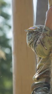 Rangers are the Army’s agile special operations force, skilled in airborne and air assault missions, seizing key terrain, and destroying strategic facilities. The selection process is tough, but if you think you have what it takes, hit the link: https://bit.ly/3VewYiR | National Guard