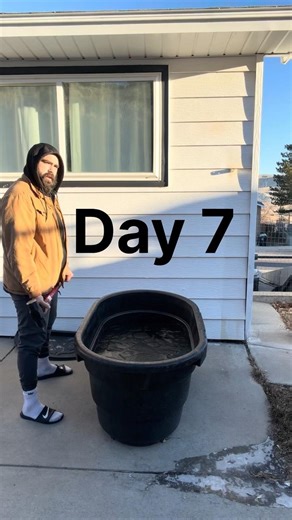 Day 7 #icebath #coldplunge #fitness