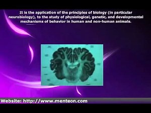 What is Behavioral Neuroscience