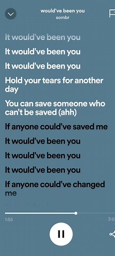 Would've Been You - Song Lyrics and Translation