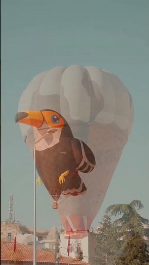 Cappadocia Balloon Ride Festival – Sky Full of Hot Air Balloons | Turkey Adventure