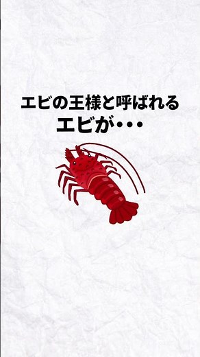エビの種類