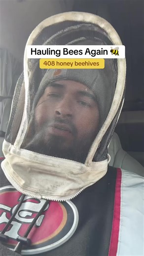 Hauling Bees Again: Trucker Journey from Idaho to California
