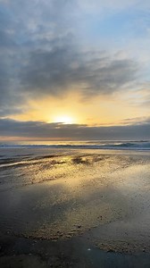 Fin de journée sur la plage de Messanges 🌅🍁 (n’oubliez pas de mettre le son pour profiter du doux bruit des vagues🌊) | Landes Atlantique Sud