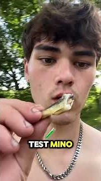 Catch and Cook Minnow (Golden Shiner) #catchandcook #fishing