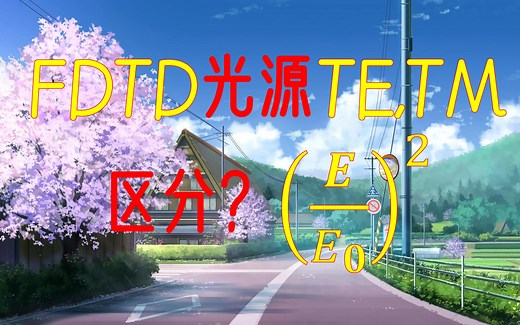 FDTD中TE,TM模式？TE,TE极化？区分