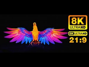 [21:9] Birds of the Wild – A Cinematic Exploration in 8K UHD