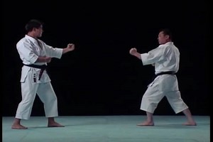 15K views · 56 reactions | Pinan Shodan Bunkai | Karate Techniques | Facebook