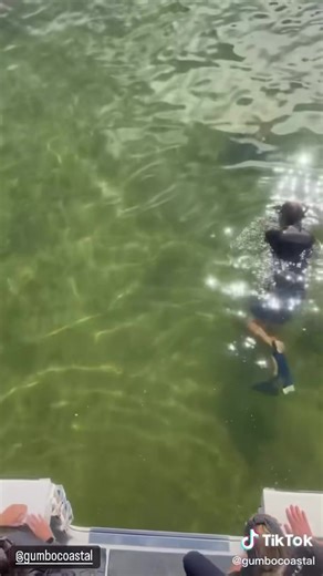 Gumbo Limbo Nature Center on Reels
