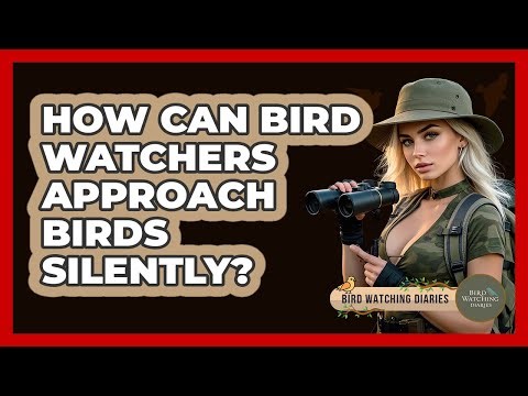 How Can Bird Watchers Approach Birds Silently? - Bird Watching Diaries