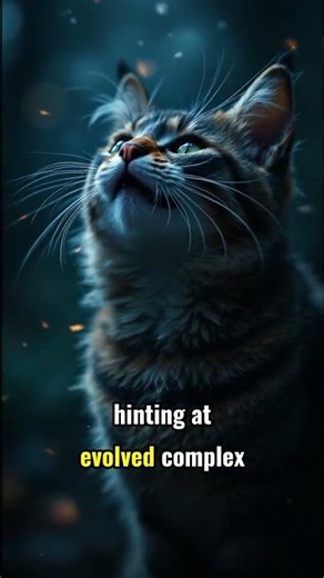 Did You Know: Cats Speak Over 100 Ways?