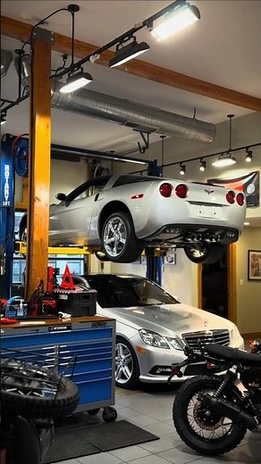 Inside AlphaCars: Tour Our Enthusiast Showroom