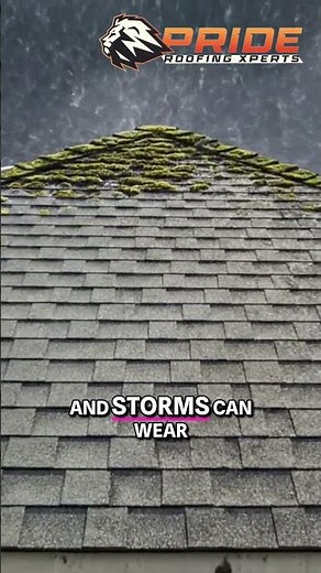 Shingle Lifespan: How Long Do They REALLY Last? #shorts