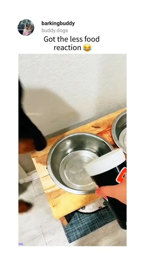 29K views · 519 reactions | Get an Amazon gift card my bio  Credit:- cutepetfunhome | doggassemble | Facebook