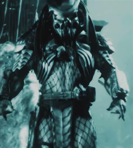 Alien vs. Predator | Celtic | Edit