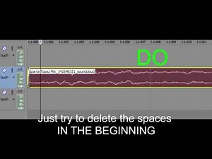 Sparta Remix Tutorial 1 - Sony Vegas Setup