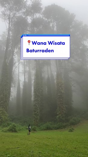 Magical Vibes at Baturraden Purwokerto