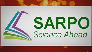 Transform Your Yard by Safely Removing Old Palm Trees