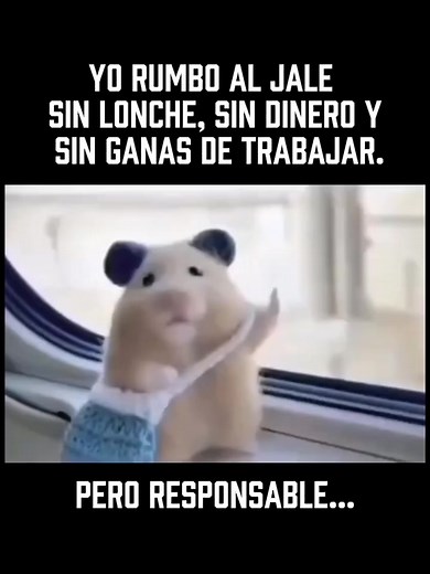 Ya casi viernes 😅 #humor #parati #casiviernes #foryoupageシ | Mishi tóxico