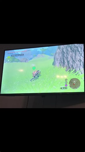 Incredibly Fast Battles in Zelda: Tears of the Kingdom